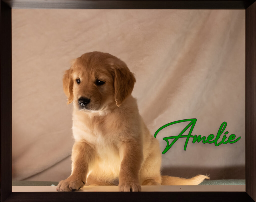 Amelie
